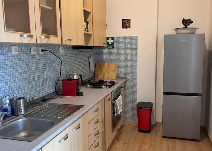 Daire Vintage Brussels Style On 4 Prag